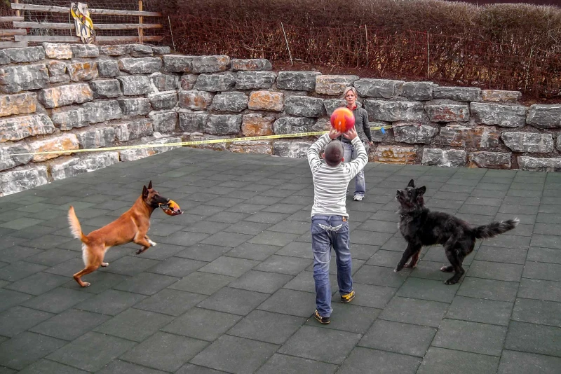 Een speelterras van grijze WARCO rubbergranulaat hondenmatten is ingebouwd in een helling. De helling wordt ondersteund door grote natuurstenen blokken. Op het speelterras spelen 2 mensen en 2 honden met een bal.