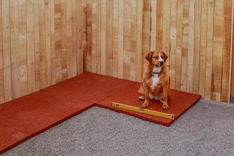 Aan een gebouw vast wordt een ruime box gemaakt, een loungeruimte voor honden. Ze zijn bezig met het leggen van de baksteenrode WARCO-platen op een dunne laag steenslag. Een hond neemt actief deel aan de werkzaamheden.