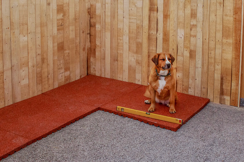 La boîte spacieuse avec zone de loisirs pour les chiens avec les tapis de chenil rouges WARCO est en train de la pose.