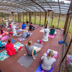 Yogasessie met veel vrouwen die hun matjes uitspreiden op een roodbruine ondergrond. Buiten groeien groene planten.
