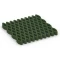 Grasgroen