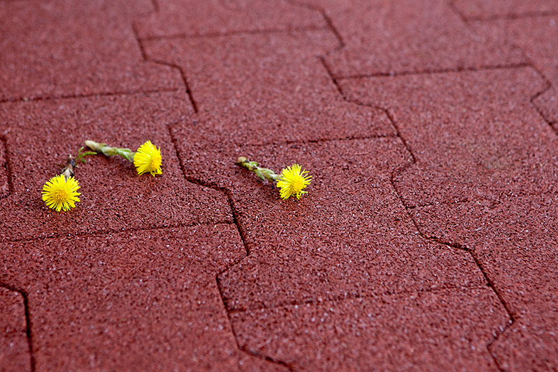Le sol d'événement de WARCO avec le motif de pavés autobloquants de type BEHATON imprimé sur leur surface (pierre H ou pierre d'os). La photo montre la structure à grains fins de la surface.